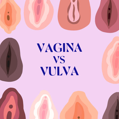 Vulva vs Vagina? Let’s Clear Up This Debate Once And For All!